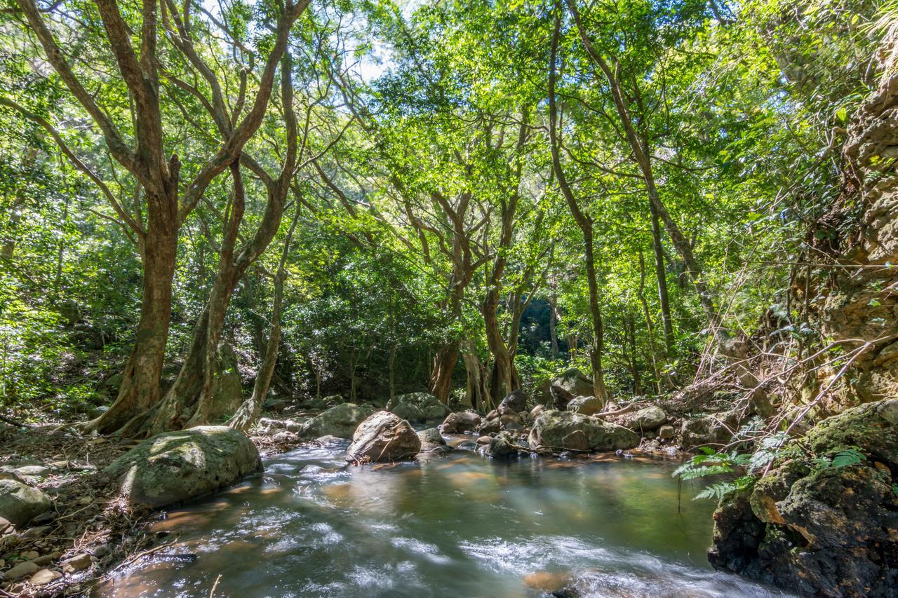 Rinconcito Lodge Hacienda Santa María Buitenkant foto